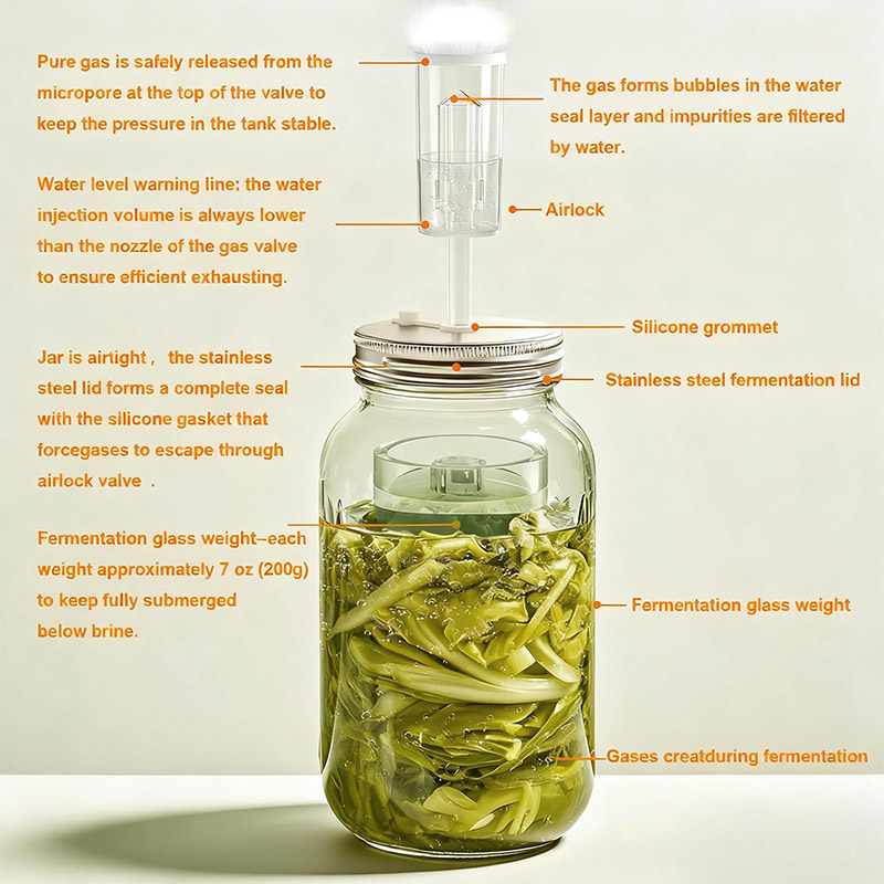 Mason Jar Wide Mouth - Fermentation Kit, Wide Mouth Mason Jars