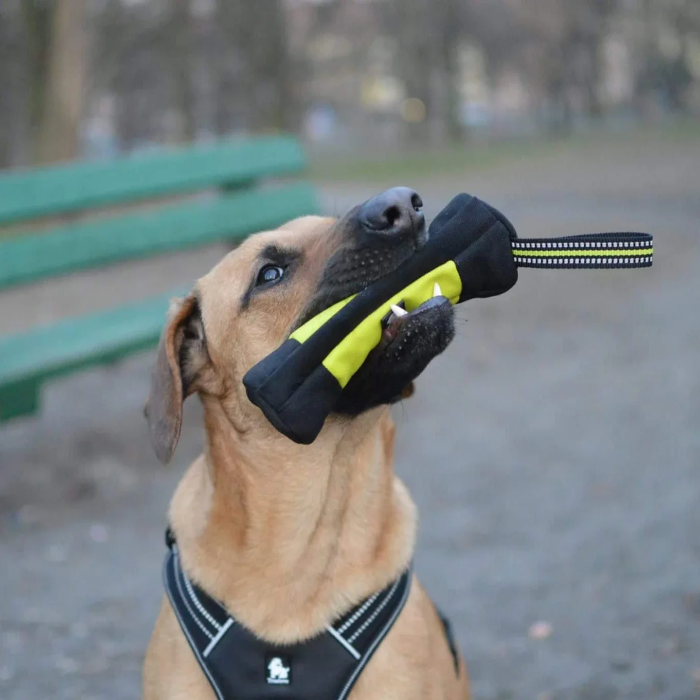 Truelove Dog Training Retrieve - Food Storage Zipper ulasan dan harga