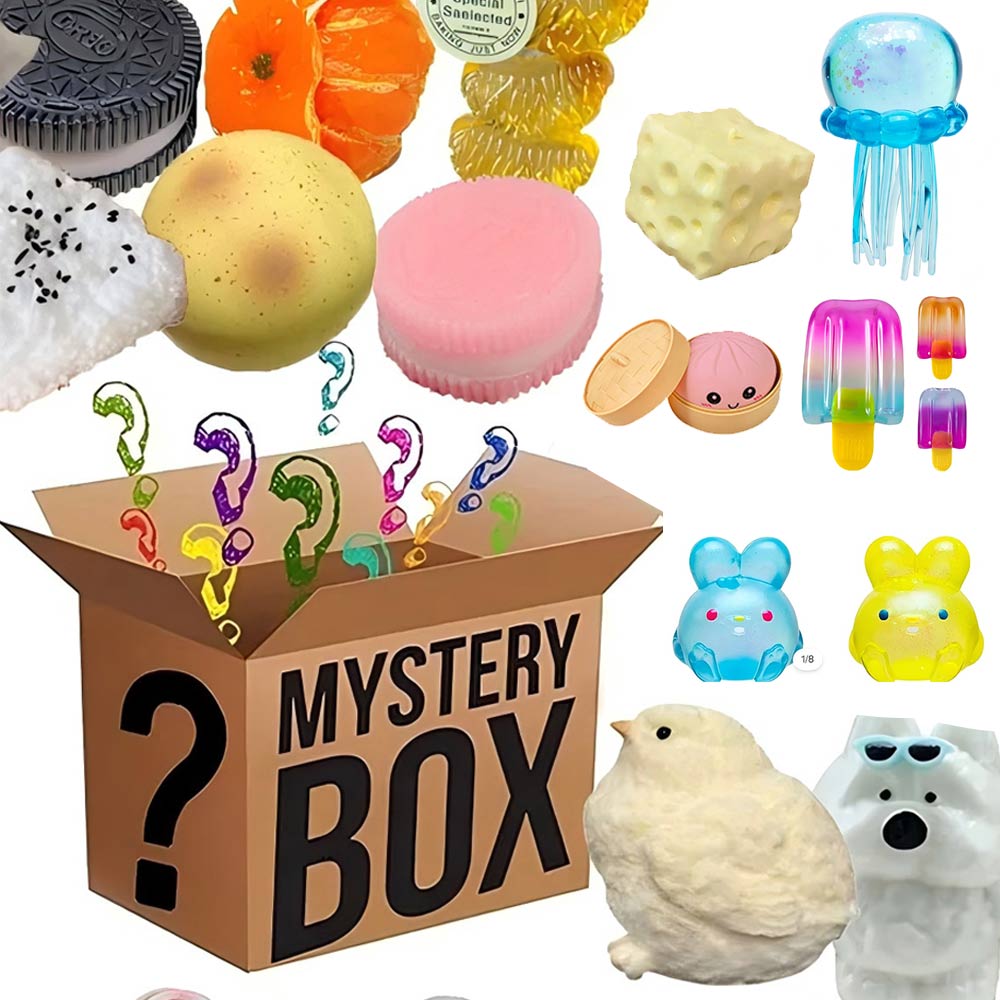 Mystery Fidget Toy Blind Box , - Food Storage Lock Box ulasan dan harga
